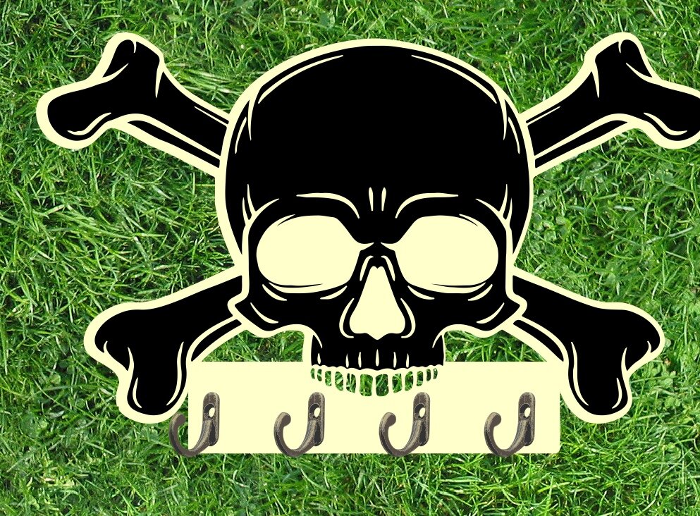 Intra απο ξύλο plywood 3mm-4mm πάχος - Διασταυρωμένα οστά κρανίου με κλειδοθήκη Δίασταση 30x30 cm Intraeaxys-pok3wpj7