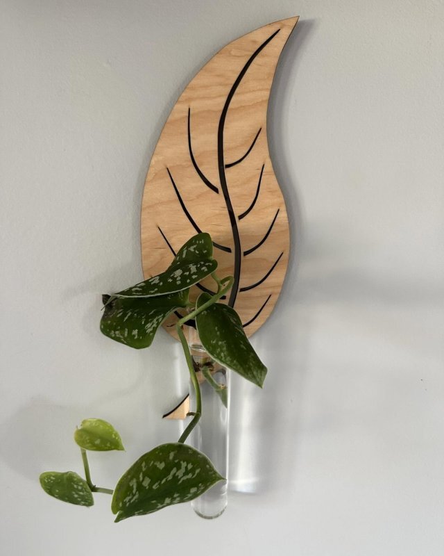 Intra απο ξύλο plywood 3mm-4mm πάχος - Ζαρντινιέρες τοίχου σε σχήμα φύλλου για φυτά εσωτερικού χώρου, σταθμός πολλαπλασιασμού φυτών, διακόσμηση τοίχου Δίασταση 30x30 cm Intraeaxys-p7y3ryzo