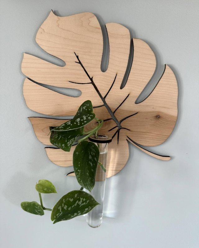 Intra απο ξύλο plywood 3mm-4mm πάχος - Bohemian Leaf Shaped Wall Planter Ξύλινη επιτοίχια σχάρα φυτών για πολλαπλασιασμό Δίασταση 30x30 cm Intraeaxys-6o3n8wp1