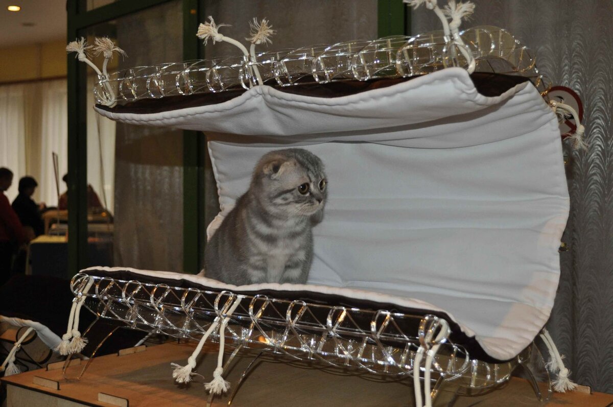 Intra απο ξύλο plywood 3mm-4mm πάχος - Krovatka Cat Δίασταση 30x30 cm Intraeaxys-zo9xmeok