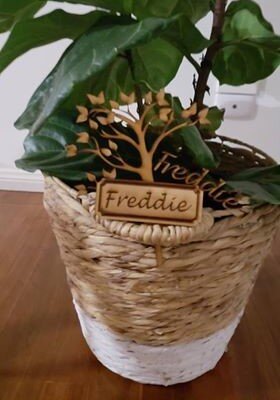 Intra απο ξύλο plywood 3mm-4mm πάχος - Ετικέτα δέντρου Δίασταση 30x30 cm Intraeaxys-voq2pg6o