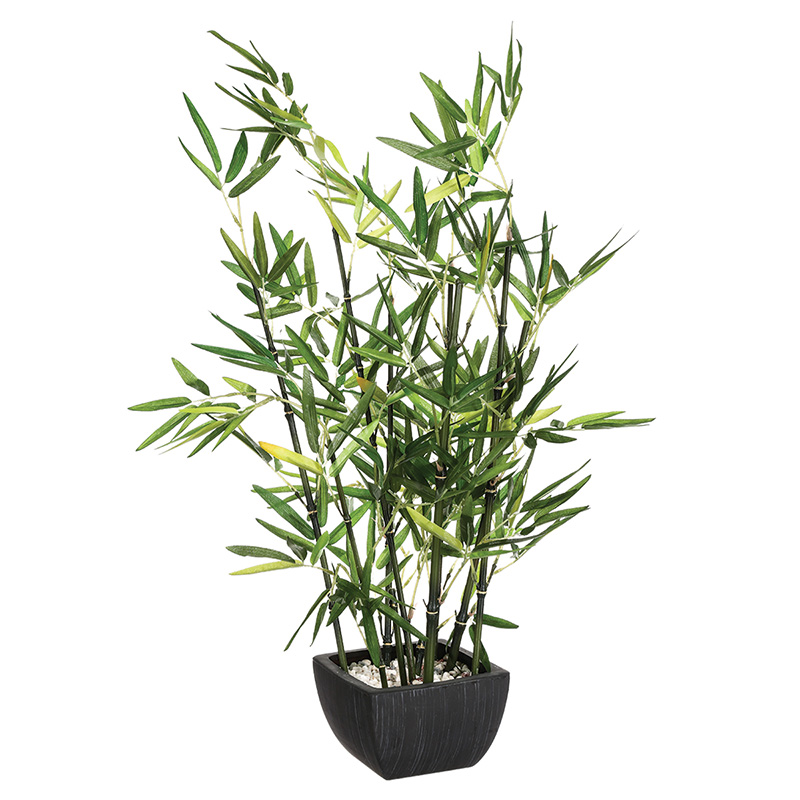 Φυτό σε γλάστρα Green pakoworld 43x34x67εκ 199-000211 Φυτό σε γλάστρα Green pakoworld 43x34x67εκ 199-000211