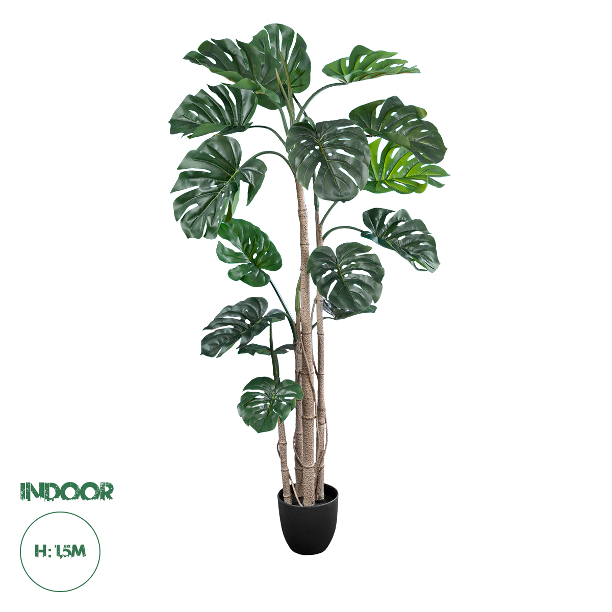 20006 GloboStar® Artificial Garden MONSTERA PLANT 20006 – Τεχνητό Διακοσμητικό Φυτό Μονστέρα Υ150cm 20006 GloboStar® Artificial Garden MONSTERA PLANT 20006 – Τεχνητό Διακοσμητικό Φυτό Μονστέρα Υ150cm