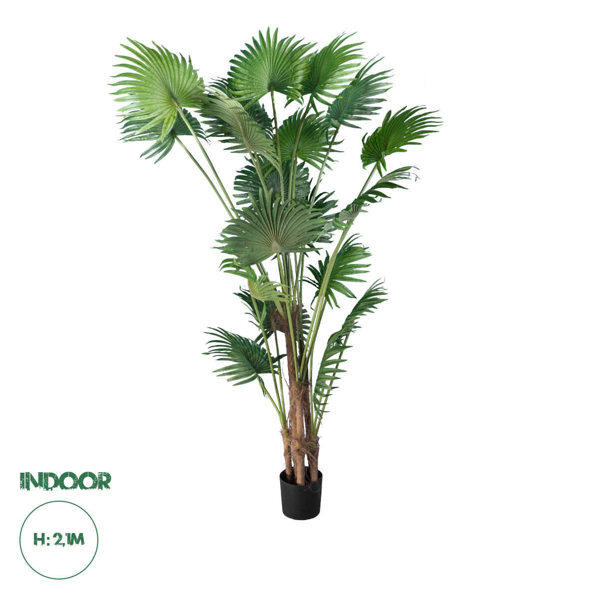 20014 GloboStar® Artificial Garden PALM TREE 20014 Τεχνητό Διακοσμητικό Φυτό Φοινικόδεντρο Βεντάλια Υ210cm 20014 GloboStar® Artificial Garden PALM TREE 20014 Τεχνητό Διακοσμητικό Φυτό Φοινικόδεντρο Βεντάλια Υ210cm