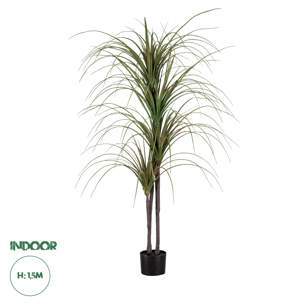 20015 GloboStar® Artificial Garden DRAGON BLOOD TREE 20015 – Τεχνητό Διακοσμητικό Φυτό Δράκαινα Υ150cm 20015 GloboStar® Artificial Garden DRAGON BLOOD TREE 20015 – Τεχνητό Διακοσμητικό Φυτό Δράκαινα Υ150cm