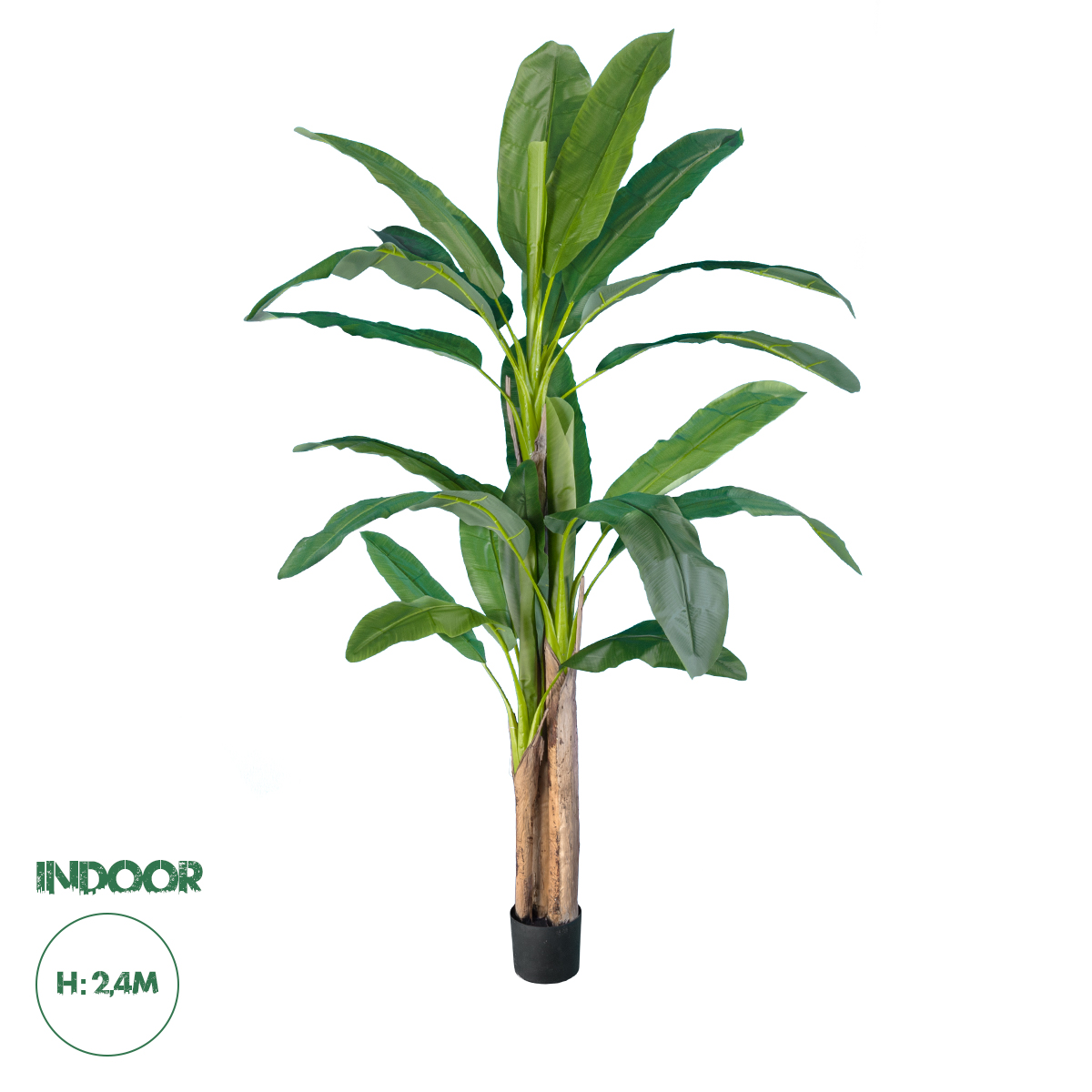 20018 GloboStar® Artificial Garden BANANA TREE 20018 – Τεχνητό Διακοσμητικό Φυτό Μπανανιά – Μπανανόδεντρο Υ240cm 20018 GloboStar® Artificial Garden BANANA TREE 20018 – Τεχνητό Διακοσμητικό Φυτό Μπανανιά – Μπανανόδεντρο Υ240cm