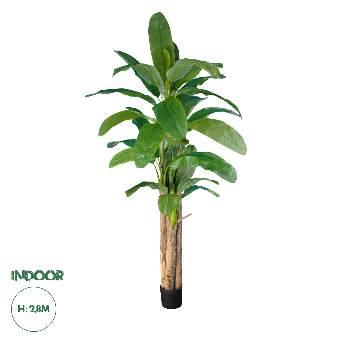 20019 GloboStar® Artificial Garden BANANA TREE 20019 – Τεχνητό Διακοσμητικό Φυτό Μπανανιά – Μπανανόδεντρο Υ280cm 20019 GloboStar® Artificial Garden BANANA TREE 20019 – Τεχνητό Διακοσμητικό Φυτό Μπανανιά – Μπανανόδεντρο Υ280cm