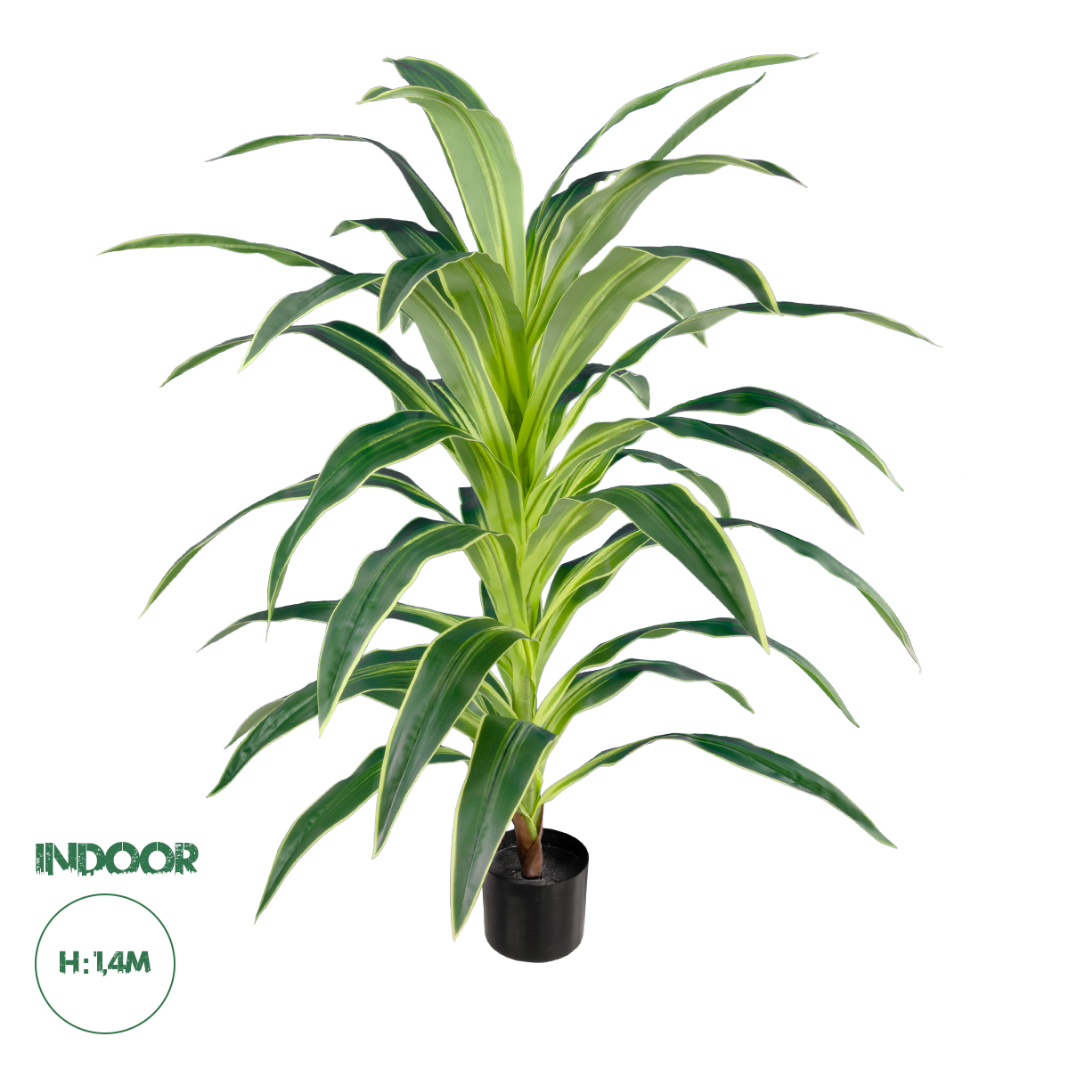 20020 GloboStar®  Artificial Garden BRAZILIAN IRON 20020 - Τεχνητό Διακοσμητικό Φυτό Αρωματική Δράκαινα Υ140cm