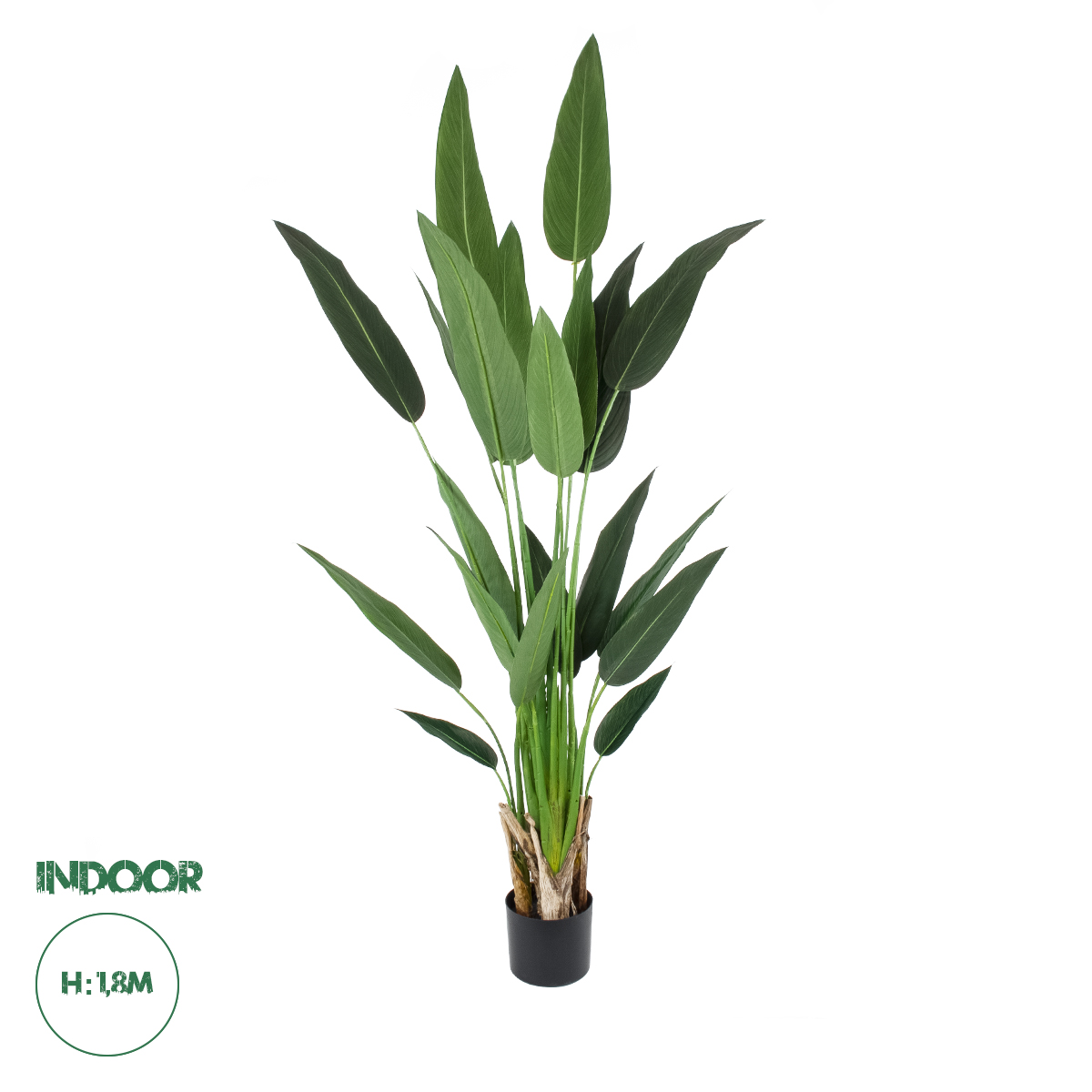 20030 GloboStar®  Artificial Garden STRELITZIA 20030 Τεχνητό Διακοσμητικό Φυτό  Στρελίτσια – Πουλί του Παραδείσου Υ180cm