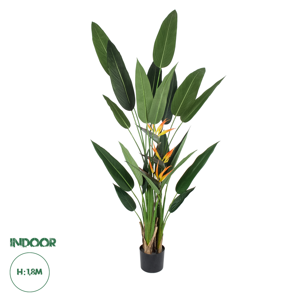 20033 GloboStar® Artificial Garden STRELITZIA REGINAE 20033 Τεχνητό Διακοσμητικό Φυτό Στρελίτσια – Πουλί του Παραδείσου Υ180cm 20033 GloboStar® Artificial Garden STRELITZIA REGINAE 20033 Τεχνητό Διακοσμητικό Φυτό Στρελίτσια – Πουλί του Παραδείσου Υ180cm