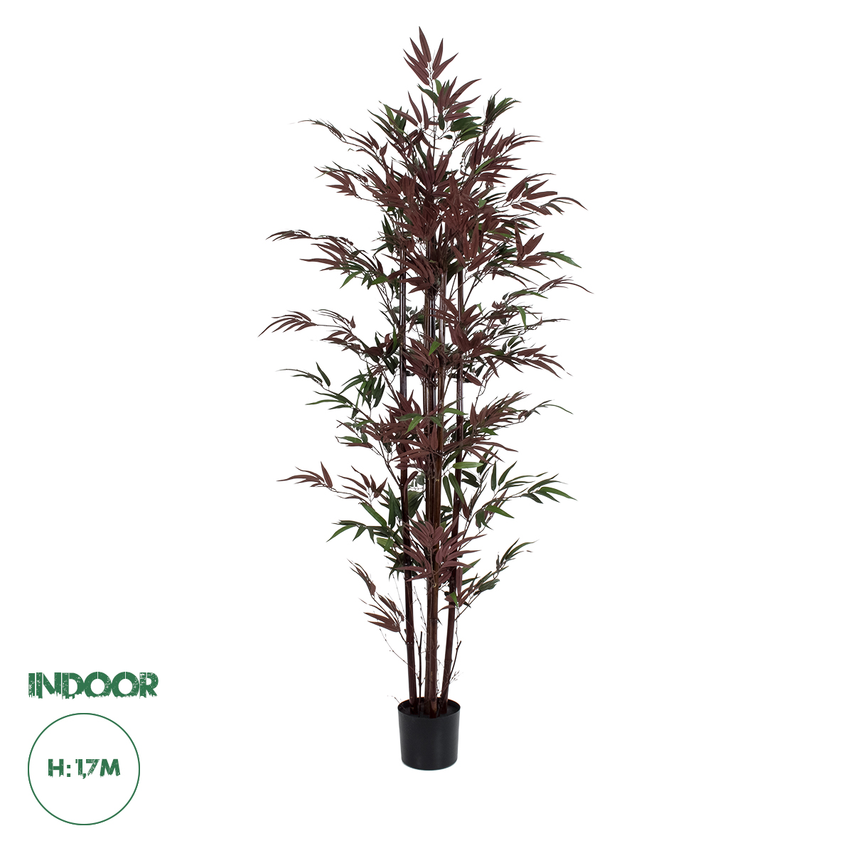 20039 GloboStar® Artificial Garden BLOODLEAF BAMBOO 20039 Τεχνητό Διακοσμητικό Φυτό Αιματόφυλλο Μπαμπού Υ170cm 20039 GloboStar® Artificial Garden BLOODLEAF BAMBOO 20039 Τεχνητό Διακοσμητικό Φυτό Αιματόφυλλο Μπαμπού Υ170cm