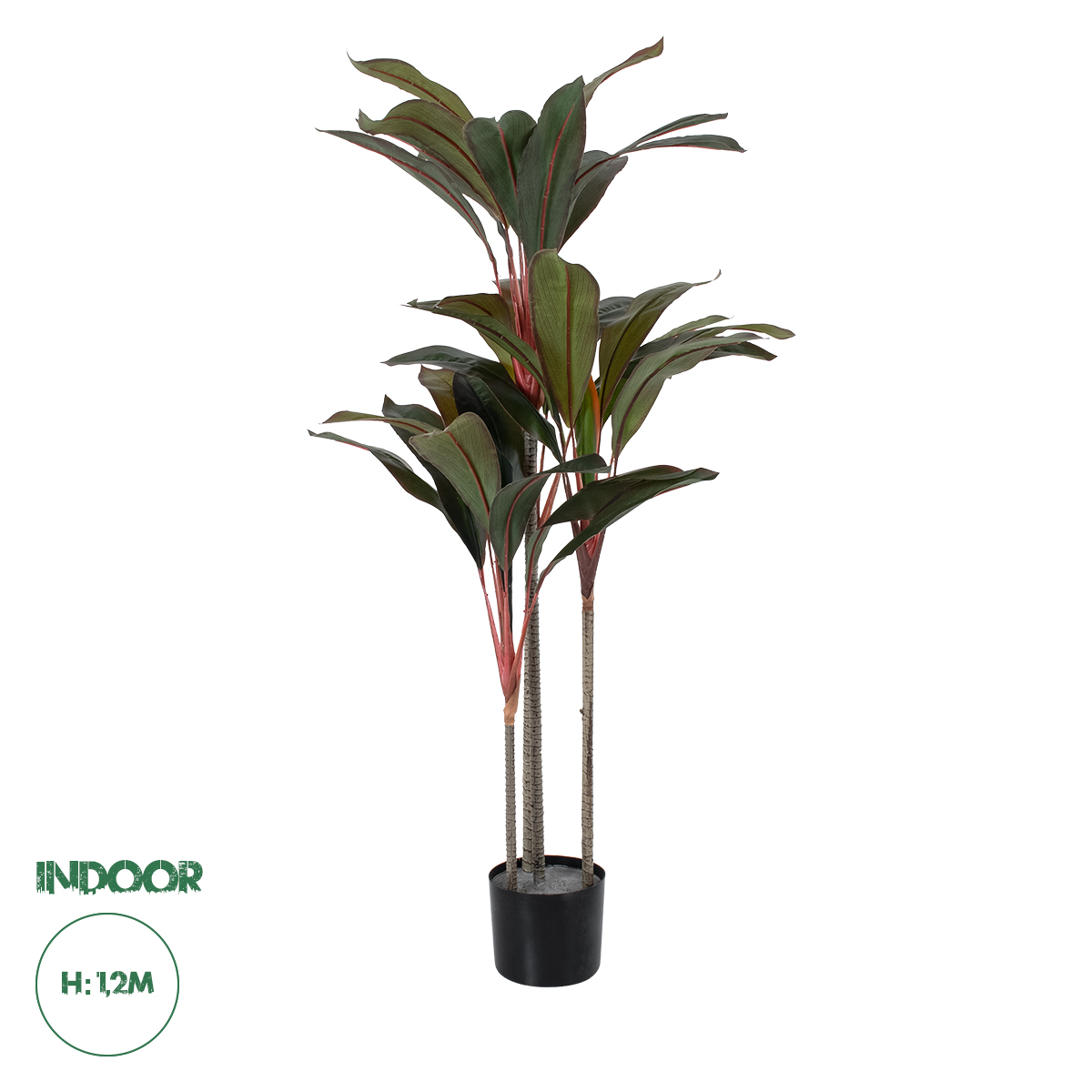 20040 GloboStar®  Artificial Garden MELANY FICUS 20040 Τεχνητό Διακοσμητικό Φυτό Φίκος Υ120cm