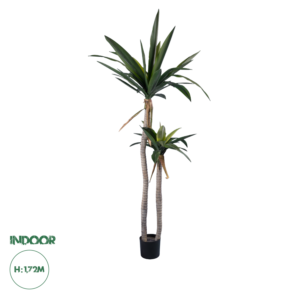20045 GloboStar® Artificial Garden AGAVE 20045 Τεχνητό Διακοσμητικό Φυτό Αγαύη Υ172cm 20045 GloboStar® Artificial Garden AGAVE 20045 Τεχνητό Διακοσμητικό Φυτό Αγαύη Υ172cm