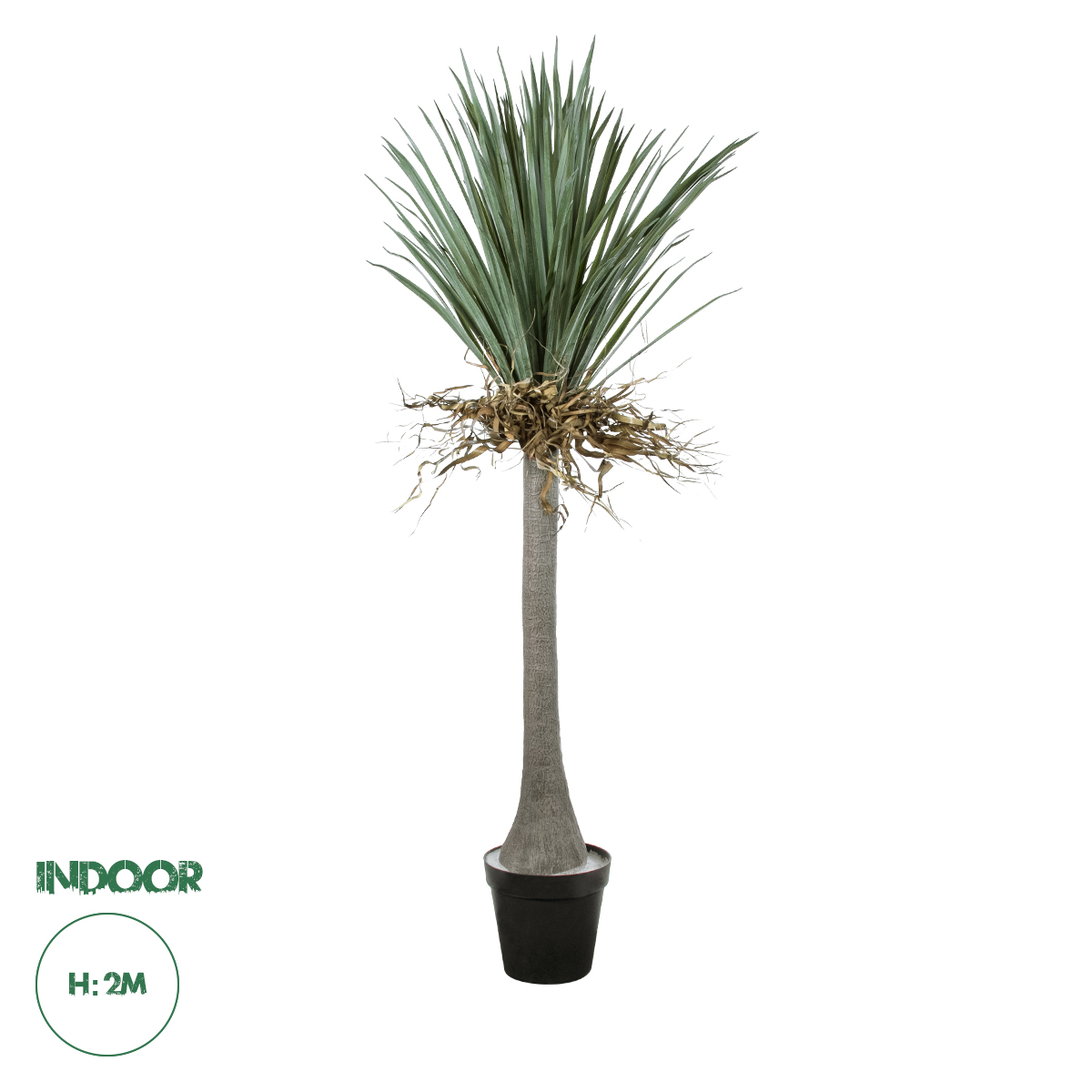 20047 GloboStar®  Artificial Garden BEAUCARNEA PALM TREE 20047 Τεχνητό Διακοσμητικό Φυτό Κυρτόφυλλος Μπουκαρνέα Υ200cm