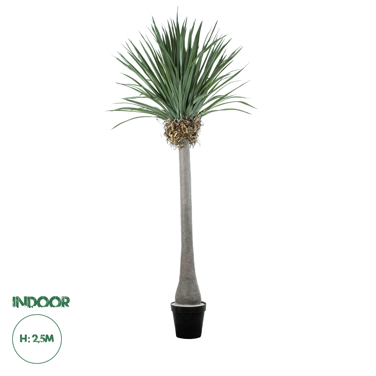 20048 GloboStar® Artificial Garden BEAUCARNEA PALM TREE 20048 Τεχνητό Διακοσμητικό Φυτό Κυρτόφυλλος Μπουκαρνέα Υ250cm 20048 GloboStar® Artificial Garden BEAUCARNEA PALM TREE 20048 Τεχνητό Διακοσμητικό Φυτό Κυρτόφυλλος Μπουκαρνέα Υ250cm