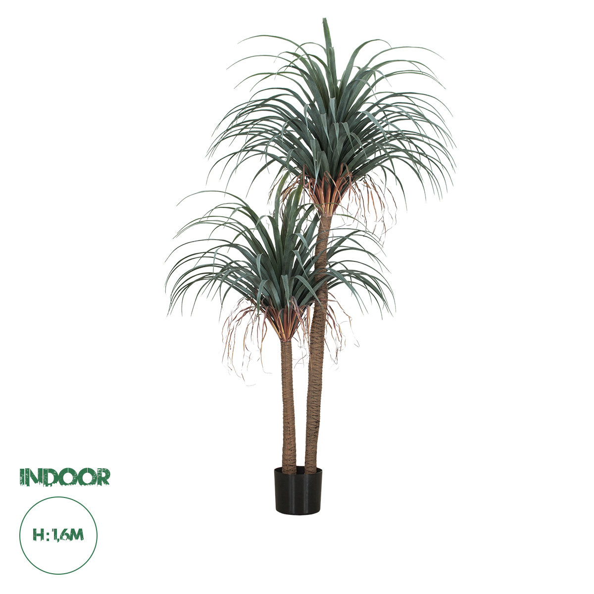 20049 GloboStar® Artificial Garden PANDANUS TREE 20049 Τεχνητό Διακοσμητικό Φυτό Πάνδανος Υ160cm 20049 GloboStar® Artificial Garden PANDANUS TREE 20049 Τεχνητό Διακοσμητικό Φυτό Πάνδανος Υ160cm