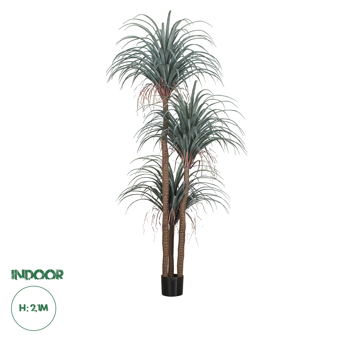 20050 GloboStar® Artificial Garden PANDANUS TREE 20050 Τεχνητό Διακοσμητικό Φυτό Πάνδανος Υ210cm 20050 GloboStar® Artificial Garden PANDANUS TREE 20050 Τεχνητό Διακοσμητικό Φυτό Πάνδανος Υ210cm