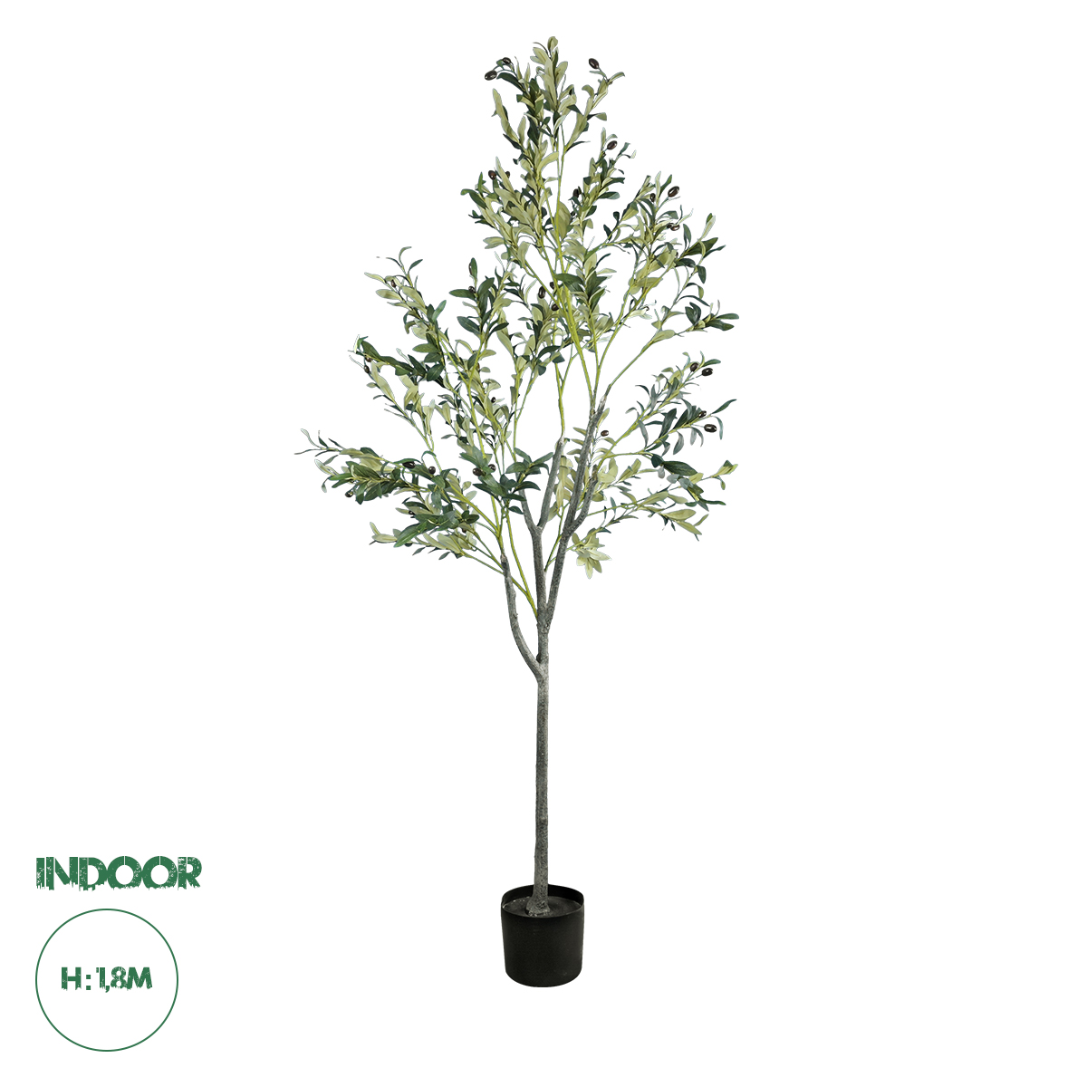 20054 GloboStar® Artificial Garden OLIVE TREE 20054 Τεχνητό Διακοσμητικό Φυτό Ελιά Υ180cm 20054 GloboStar® Artificial Garden OLIVE TREE 20054 Τεχνητό Διακοσμητικό Φυτό Ελιά Υ180cm