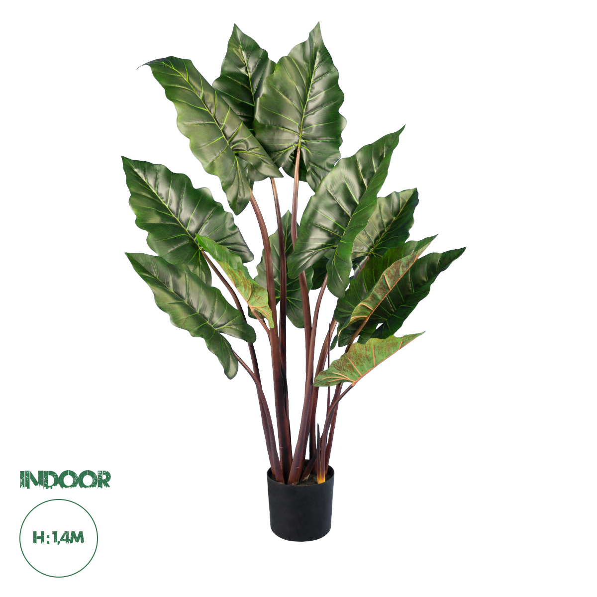 20055 GloboStar® Artificial Garden RAINBOW TARO 20055 Τεχνητό Διακοσμητικό Φυτό Κολοκασία Υ140cm 20055 GloboStar® Artificial Garden RAINBOW TARO 20055 Τεχνητό Διακοσμητικό Φυτό Κολοκασία Υ140cm