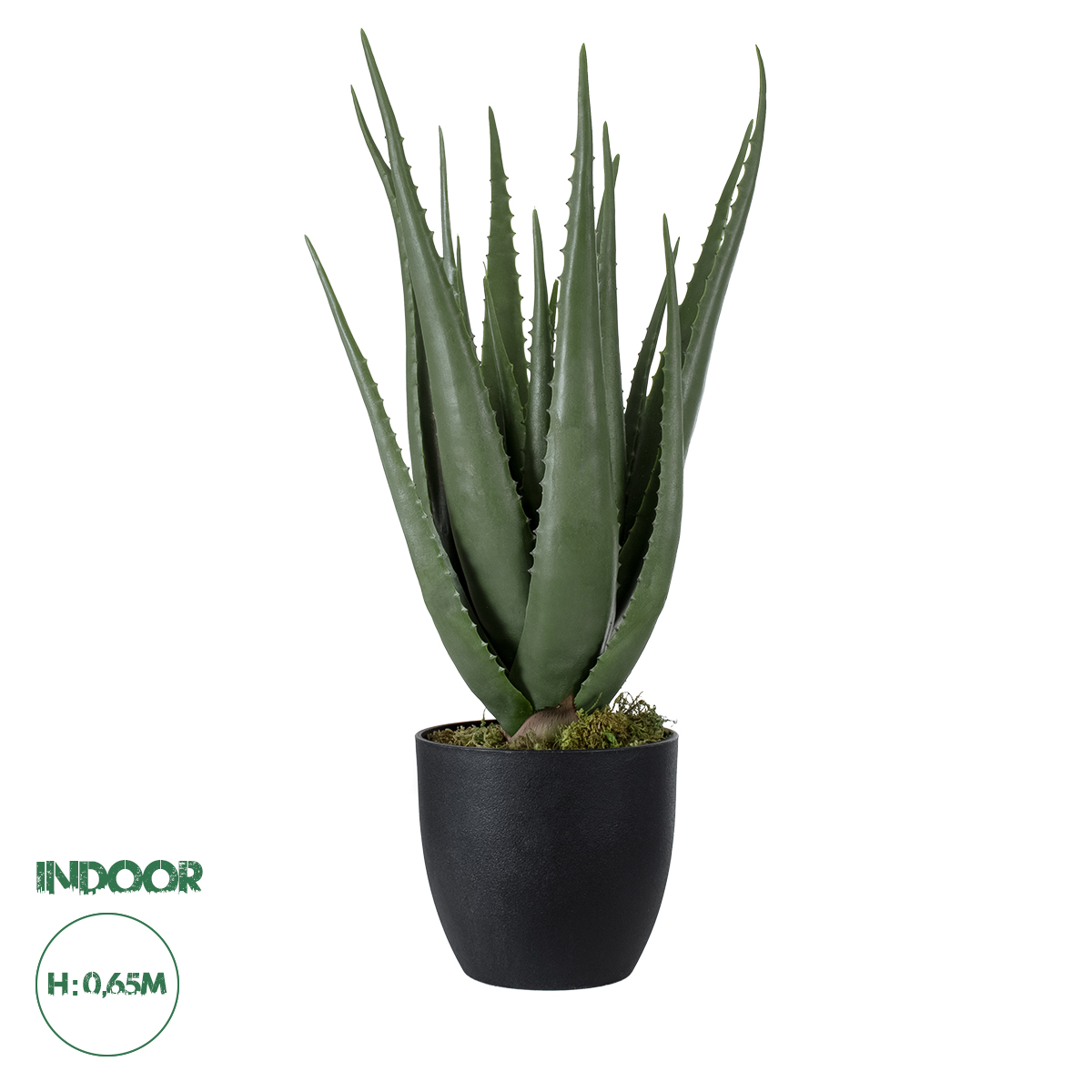 20066 GloboStar® Artificial Garden ALOE 20066 Τεχνητό Διακοσμητικό Φυτό Αλόη Υ65cm 20066 GloboStar® Artificial Garden ALOE 20066 Τεχνητό Διακοσμητικό Φυτό Αλόη Υ65cm