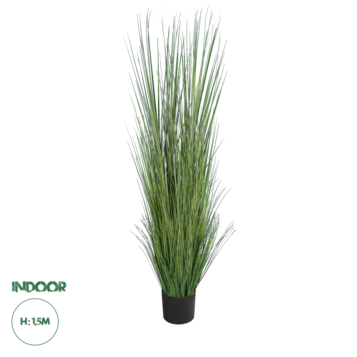 20071 GloboStar® Artificial Garden PAMPAS GRASS 20071 Τεχνητό Διακοσμητικό Φυτό Γρασίδι της Πάμπας Υ150cm 20071 GloboStar® Artificial Garden PAMPAS GRASS 20071 Τεχνητό Διακοσμητικό Φυτό Γρασίδι της Πάμπας Υ150cm