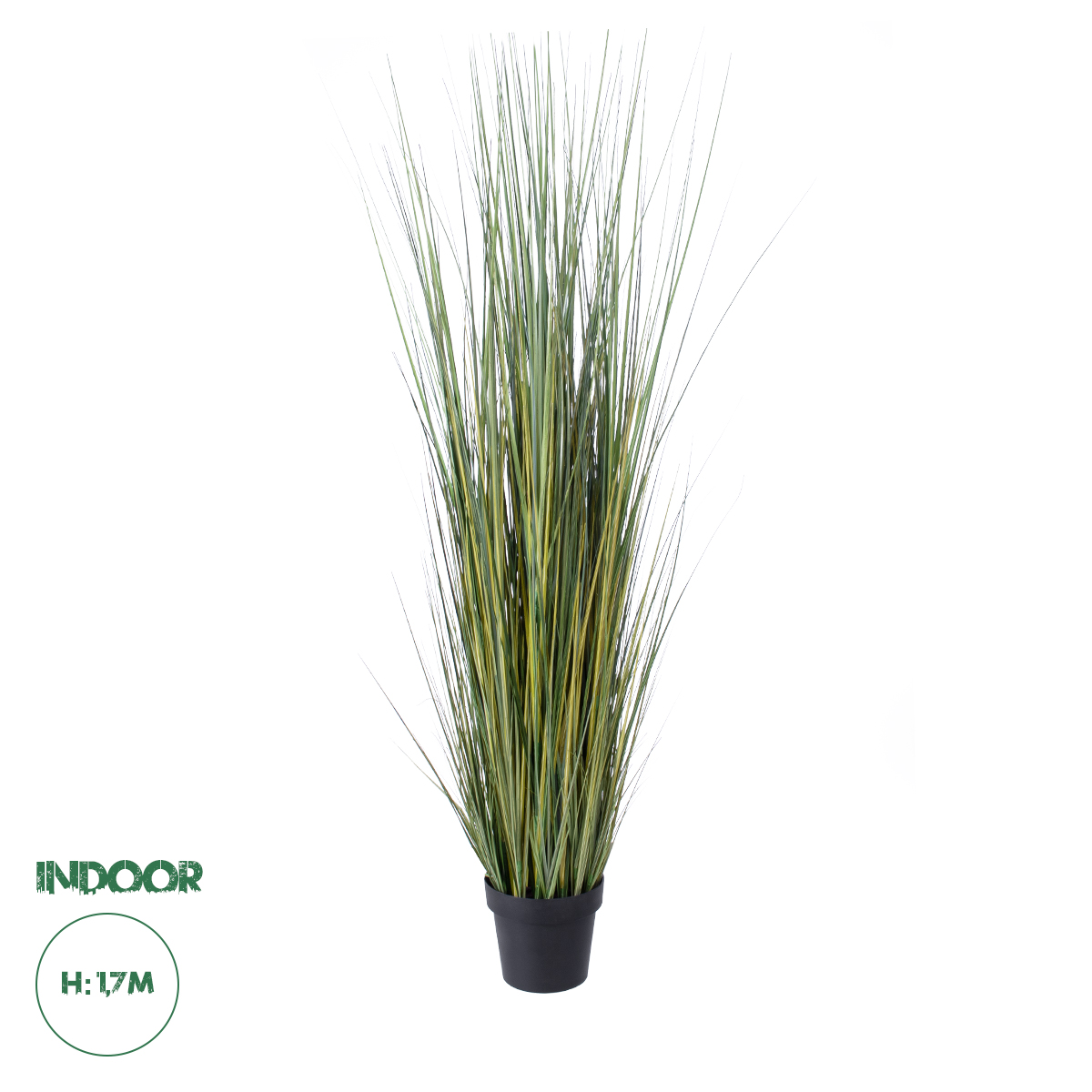 20072 GloboStar® Artificial Garden PAMPAS GRASS 20072 Τεχνητό Διακοσμητικό Φυτό Γρασίδι της Πάμπας Υ170cm 20072 GloboStar® Artificial Garden PAMPAS GRASS 20072 Τεχνητό Διακοσμητικό Φυτό Γρασίδι της Πάμπας Υ170cm