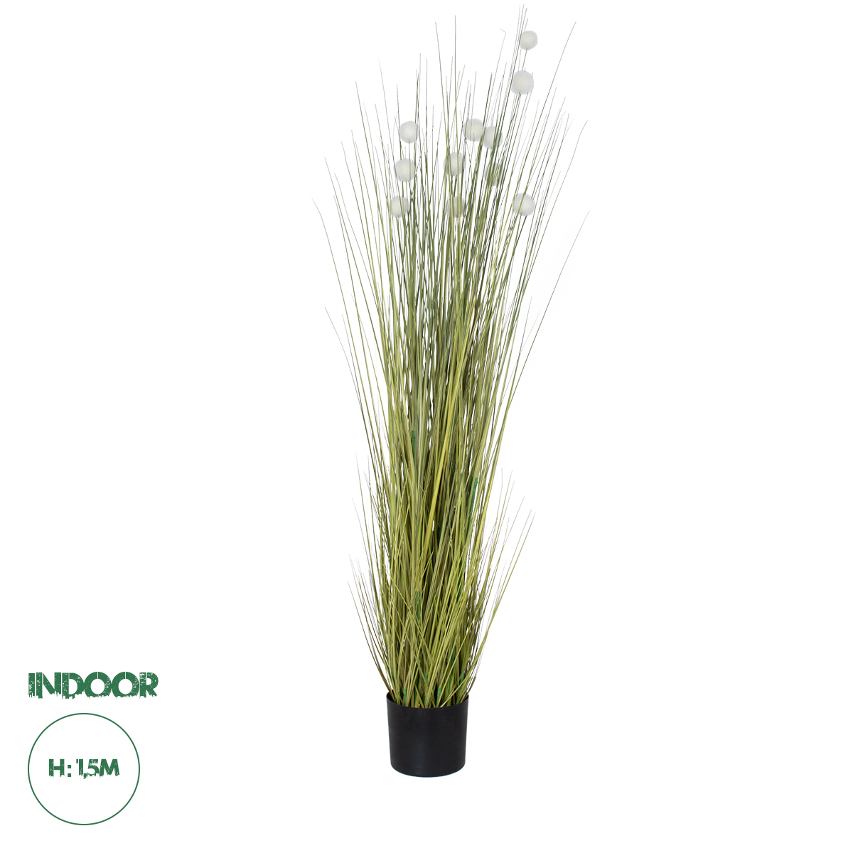20073 GloboStar® Artificial Garden ERIOPHORUM ANGUSTIFOLIUM COTTON GRASS 20073 Τεχνητό Διακοσμητικό Φυτό Γρασίδι του Βαμβακιού Υ150cm 20073 GloboStar® Artificial Garden ERIOPHORUM ANGUSTIFOLIUM COTTON GRASS 20073 Τεχνητό Διακοσμητικό Φυτό Γρασίδι του Βαμβακιού Υ150cm