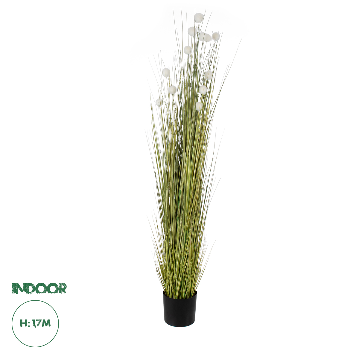 20074 GloboStar® Artificial Garden ERIOPHORUM ANGUSTIFOLIUM COTTON GRASS 20074 Τεχνητό Διακοσμητικό Φυτό Γρασίδι του Βαμβακιού Υ170cm 20074 GloboStar® Artificial Garden ERIOPHORUM ANGUSTIFOLIUM COTTON GRASS 20074 Τεχνητό Διακοσμητικό Φυτό Γρασίδι του Βαμβακιού Υ170cm