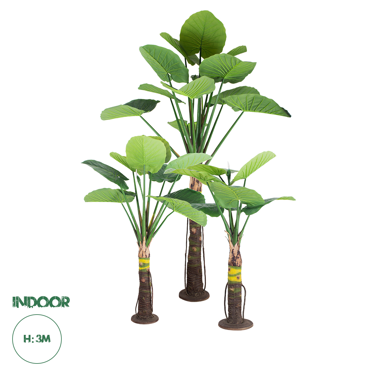 20089 GloboStar® Artificial Garden TARO SET 20089 Τεχνητό Διακοσμητικό Σετ Φυτών Κολοκασία A:Υ300cm B:Υ210cm C:Υ160cm 20089 GloboStar® Artificial Garden TARO SET 20089 Τεχνητό Διακοσμητικό Σετ Φυτών Κολοκασία A:Υ300cm B:Υ210cm C:Υ160cm