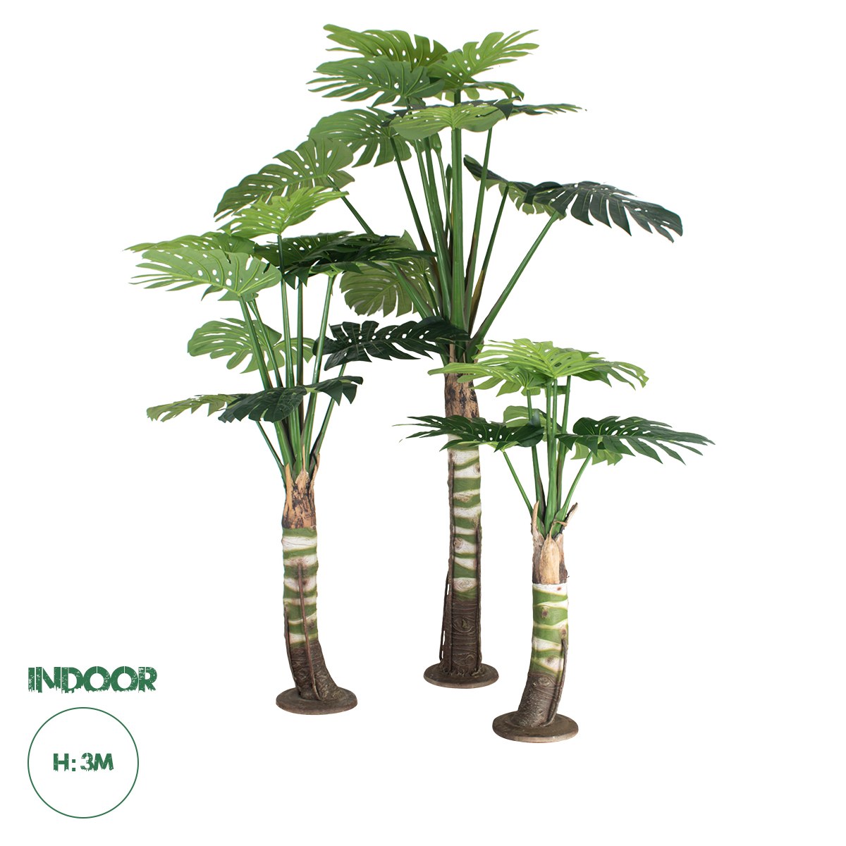 20090 GloboStar® Artificial Garden MONSTERA SET 20090 – Τεχνητό Διακοσμητικό Σετ Φυτών Μονστέρα A:Υ300cm B:Υ200cm C:Υ150cm 20090 GloboStar® Artificial Garden MONSTERA SET 20090 – Τεχνητό Διακοσμητικό Σετ Φυτών Μονστέρα A:Υ300cm B:Υ200cm C:Υ150cm