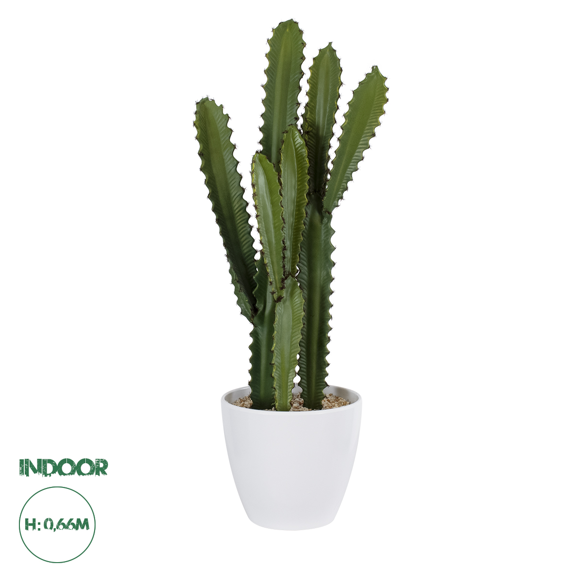 20099 GloboStar® Artificial Garden CEREUS JAMACARU CACTUS 20099 Τεχνητό Διακοσμητικό Φυτό Κάκτος Κηρίος Υ66cm 20099 GloboStar® Artificial Garden CEREUS JAMACARU CACTUS 20099 Τεχνητό Διακοσμητικό Φυτό Κάκτος Κηρίος Υ66cm