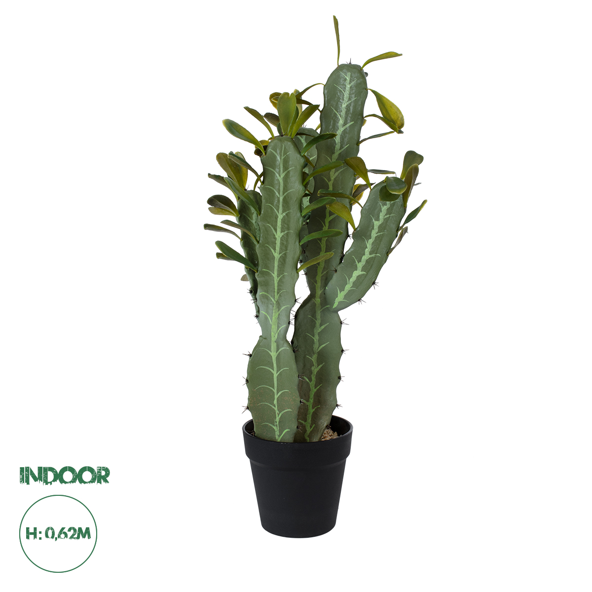 20102 GloboStar® Artificial Garden CEREUS JAMACARU CACTUS 20102 Τεχνητό Διακοσμητικό Φυτό Κάκτος Κηρίος Υ62cm 20102 GloboStar® Artificial Garden CEREUS JAMACARU CACTUS 20102 Τεχνητό Διακοσμητικό Φυτό Κάκτος Κηρίος Υ62cm