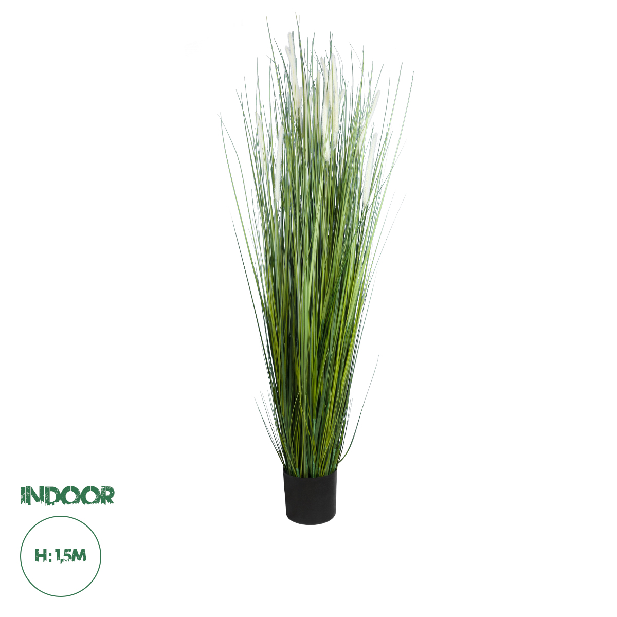 20104 GloboStar® Artificial Garden SACCHARUM 20104 Τεχνητό Διακοσμητικό Φυτό Ζαχαροκάλαμο Υ150cm 20104 GloboStar® Artificial Garden SACCHARUM 20104 Τεχνητό Διακοσμητικό Φυτό Ζαχαροκάλαμο Υ150cm