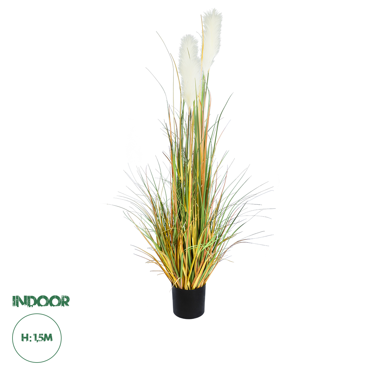 20105 GloboStar® Artificial Garden PAMPAS GRASS 20105 Τεχνητό Διακοσμητικό Φυτό Γρασίδι της Πάμπας Υ150cm 20105 GloboStar® Artificial Garden PAMPAS GRASS 20105 Τεχνητό Διακοσμητικό Φυτό Γρασίδι της Πάμπας Υ150cm