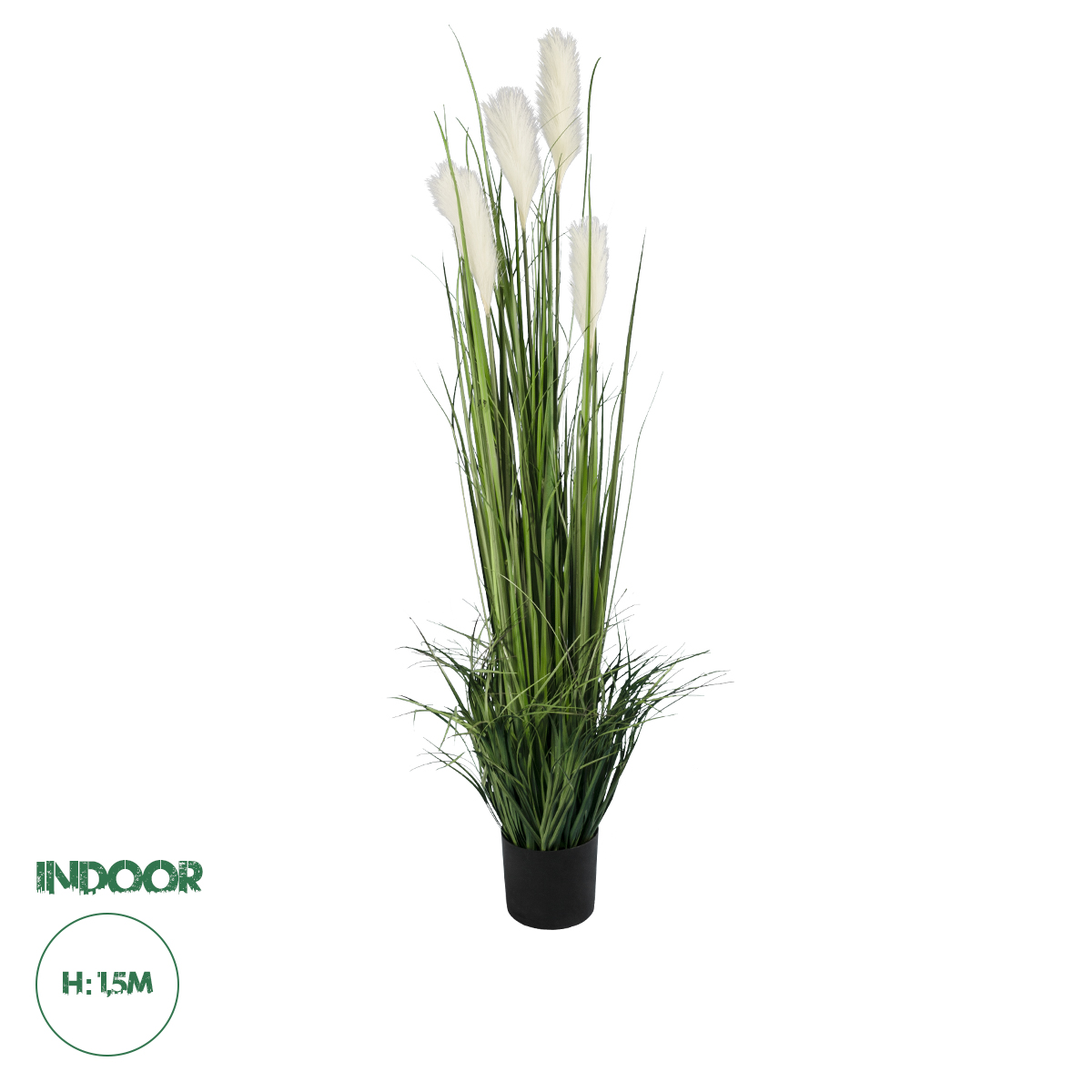 20106 GloboStar® Artificial Garden PAMPAS GRASS 20106 Τεχνητό Διακοσμητικό Φυτό Γρασίδι της Πάμπας Υ150cm 20106 GloboStar® Artificial Garden PAMPAS GRASS 20106 Τεχνητό Διακοσμητικό Φυτό Γρασίδι της Πάμπας Υ150cm
