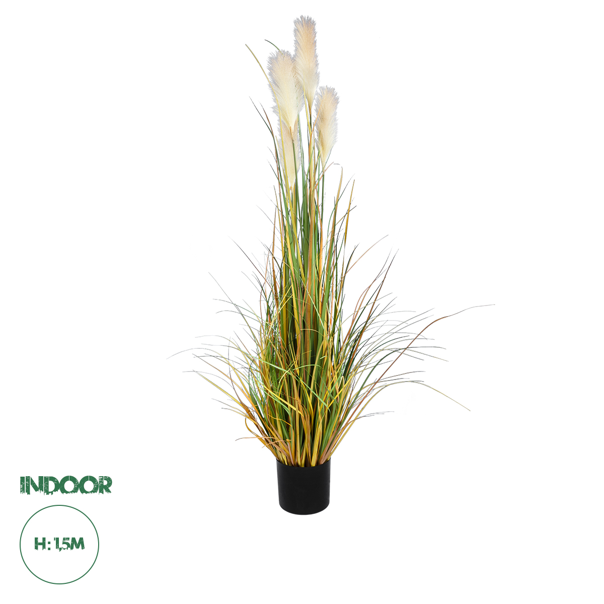 20108 GloboStar® Artificial Garden PAMPAS GRASS 20108 Τεχνητό Διακοσμητικό Φυτό Γρασίδι της Πάμπας Υ150cm 20108 GloboStar® Artificial Garden PAMPAS GRASS 20108 Τεχνητό Διακοσμητικό Φυτό Γρασίδι της Πάμπας Υ150cm