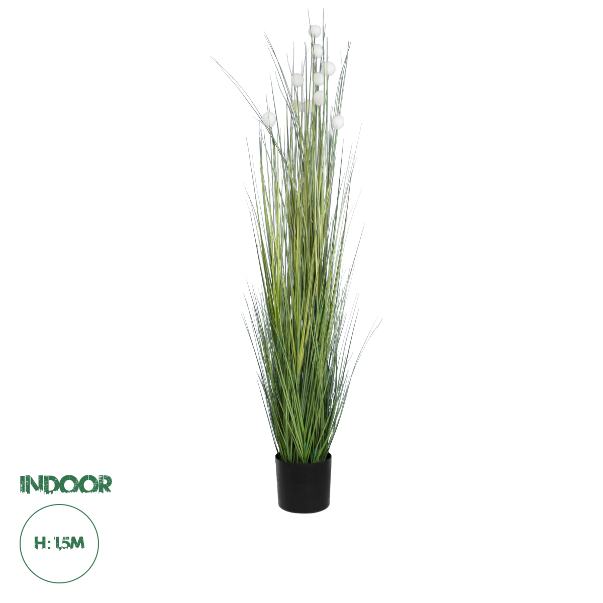 20111 GloboStar® Artificial Garden LAGURUS GRASS 20111 Τεχνητό Διακοσμητικό Φυτό Λαγοουρά Υ150cm 20111 GloboStar® Artificial Garden LAGURUS GRASS 20111 Τεχνητό Διακοσμητικό Φυτό Λαγοουρά Υ150cm