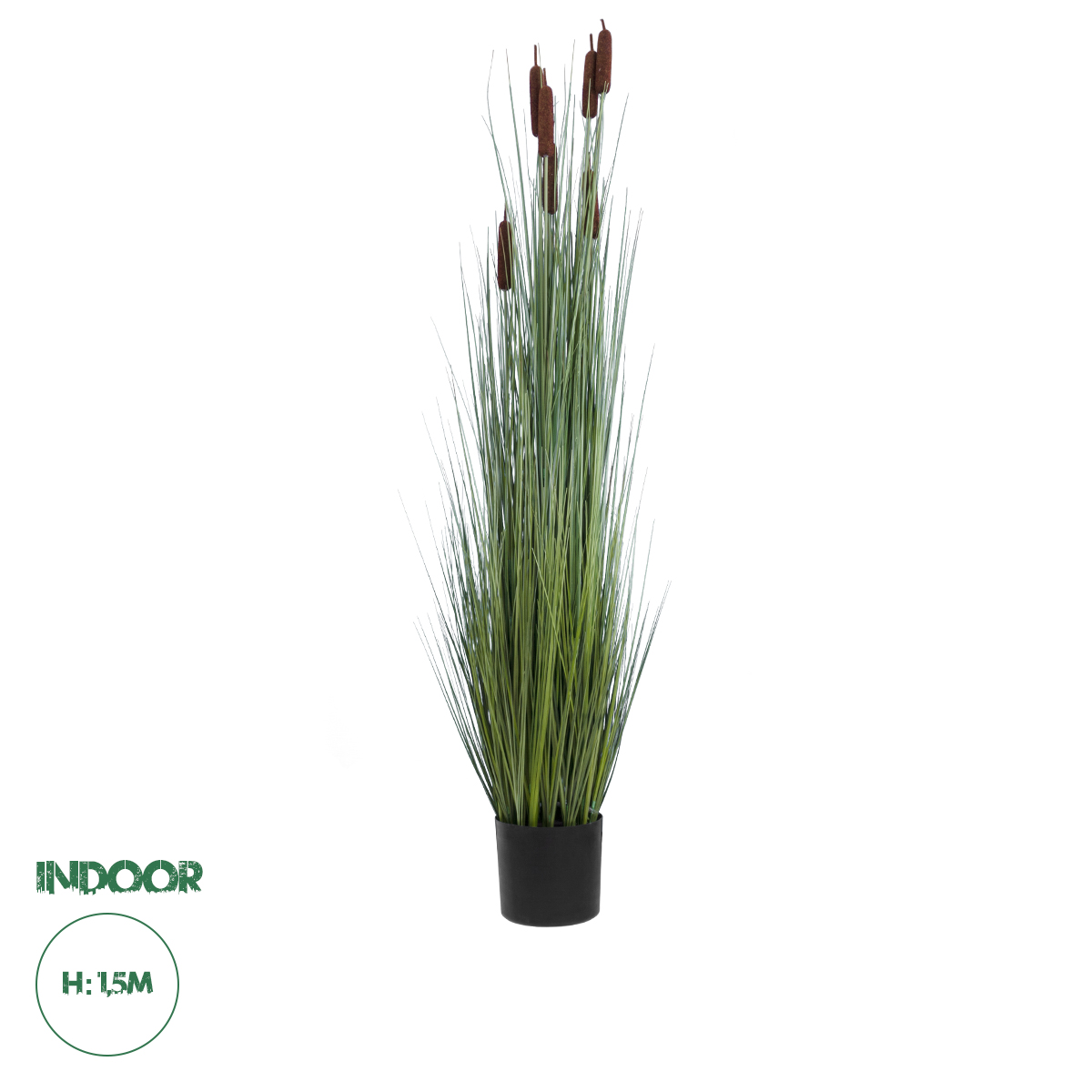 20113 GloboStar® Artificial Garden TYPHA ANGUSTIFOLIA GRASS 20113 Τεχνητό Διακοσμητικό Φυτό Γρασίδι της Τύφας Υ150cm 20113 GloboStar® Artificial Garden TYPHA ANGUSTIFOLIA GRASS 20113 Τεχνητό Διακοσμητικό Φυτό Γρασίδι της Τύφας Υ150cm
