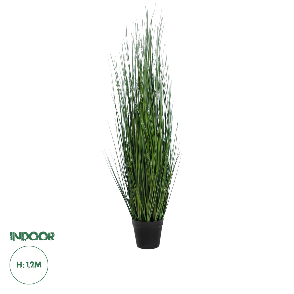 20116 GloboStar® Artificial Garden MISCANTHUS SINENSIS 20116 Τεχνητό Διακοσμητικό Φυτό Μίσχανθος Υ120cm 20116 GloboStar® Artificial Garden MISCANTHUS SINENSIS 20116 Τεχνητό Διακοσμητικό Φυτό Μίσχανθος Υ120cm