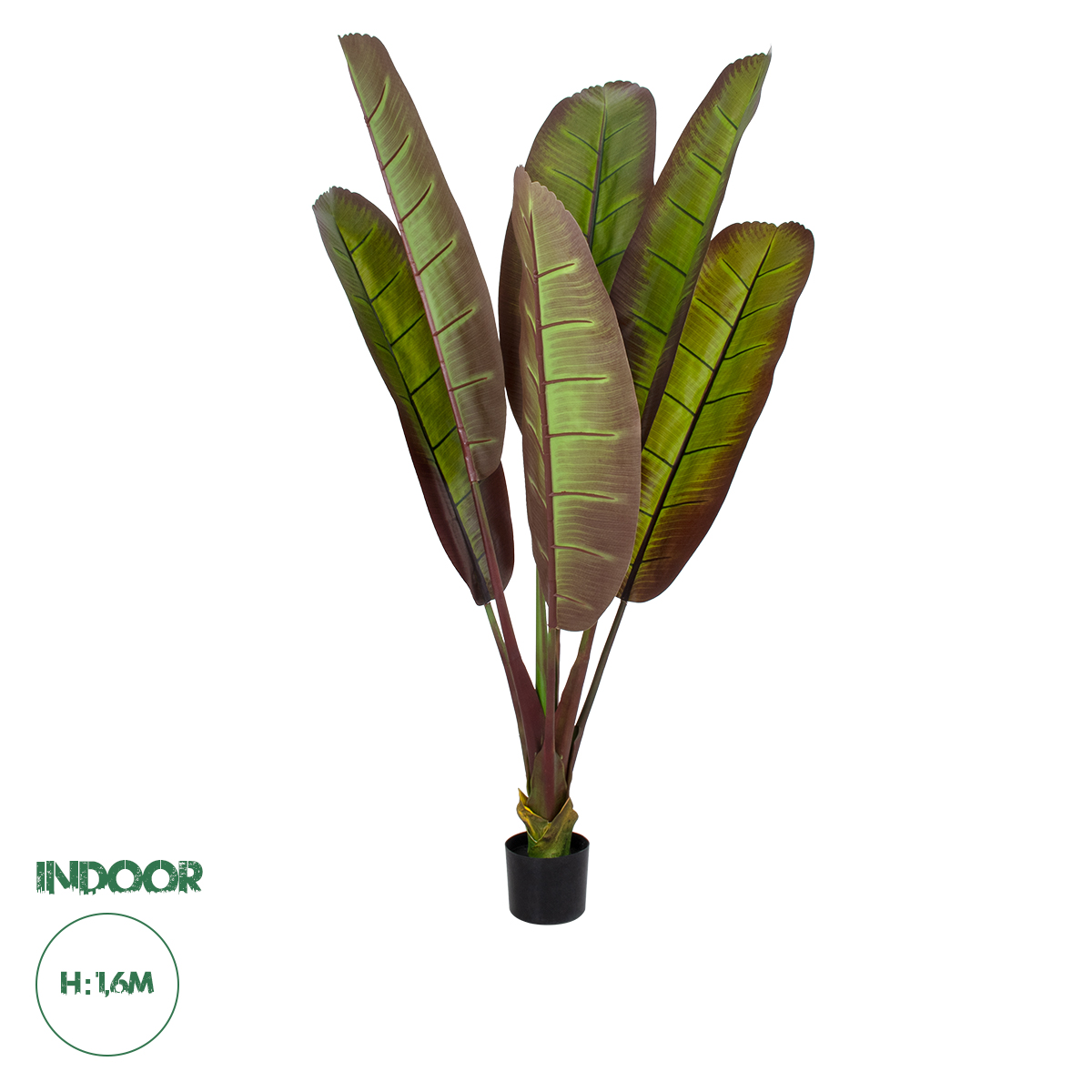 20117 GloboStar® Artificial Garden BLOODY BANANA TREE 20117 – Τεχνητό Διακοσμητικό Φυτό Αιματόφυλλη Μπανανιά – Μπανανόδεντρο Υ160cm 20117 GloboStar® Artificial Garden BLOODY BANANA TREE 20117 – Τεχνητό Διακοσμητικό Φυτό Αιματόφυλλη Μπανανιά – Μπανανόδεντρο Υ160cm