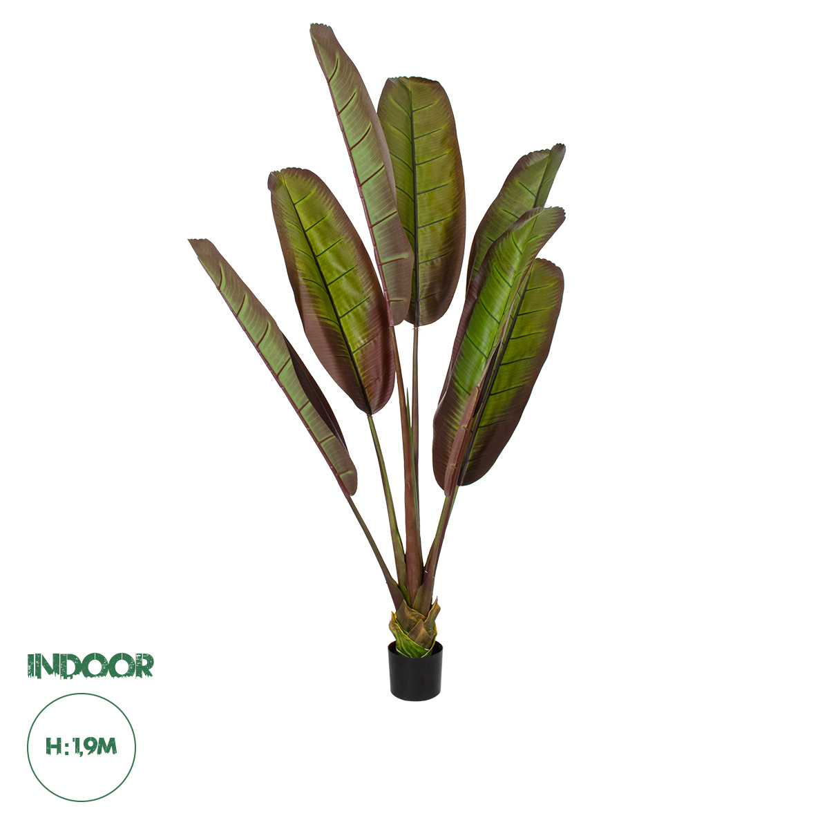 20118 GloboStar® Artificial Garden BLOODY BANANA TREE 20118 – Τεχνητό Διακοσμητικό Φυτό Αιματόφυλλη Μπανανιά – Μπανανόδεντρο Υ190cm 20118 GloboStar® Artificial Garden BLOODY BANANA TREE 20118 – Τεχνητό Διακοσμητικό Φυτό Αιματόφυλλη Μπανανιά – Μπανανόδεντρο Υ190cm