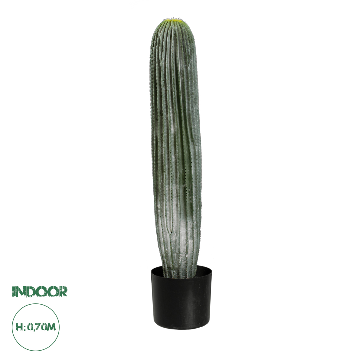 20124 GloboStar® Artificial Garden CARNEGIEA CACTUS 20124 Τεχνητό Διακοσμητικό Φυτό Κάκτος Σαγκουάρο Υ70cm 20124 GloboStar® Artificial Garden CARNEGIEA CACTUS 20124 Τεχνητό Διακοσμητικό Φυτό Κάκτος Σαγκουάρο Υ70cm