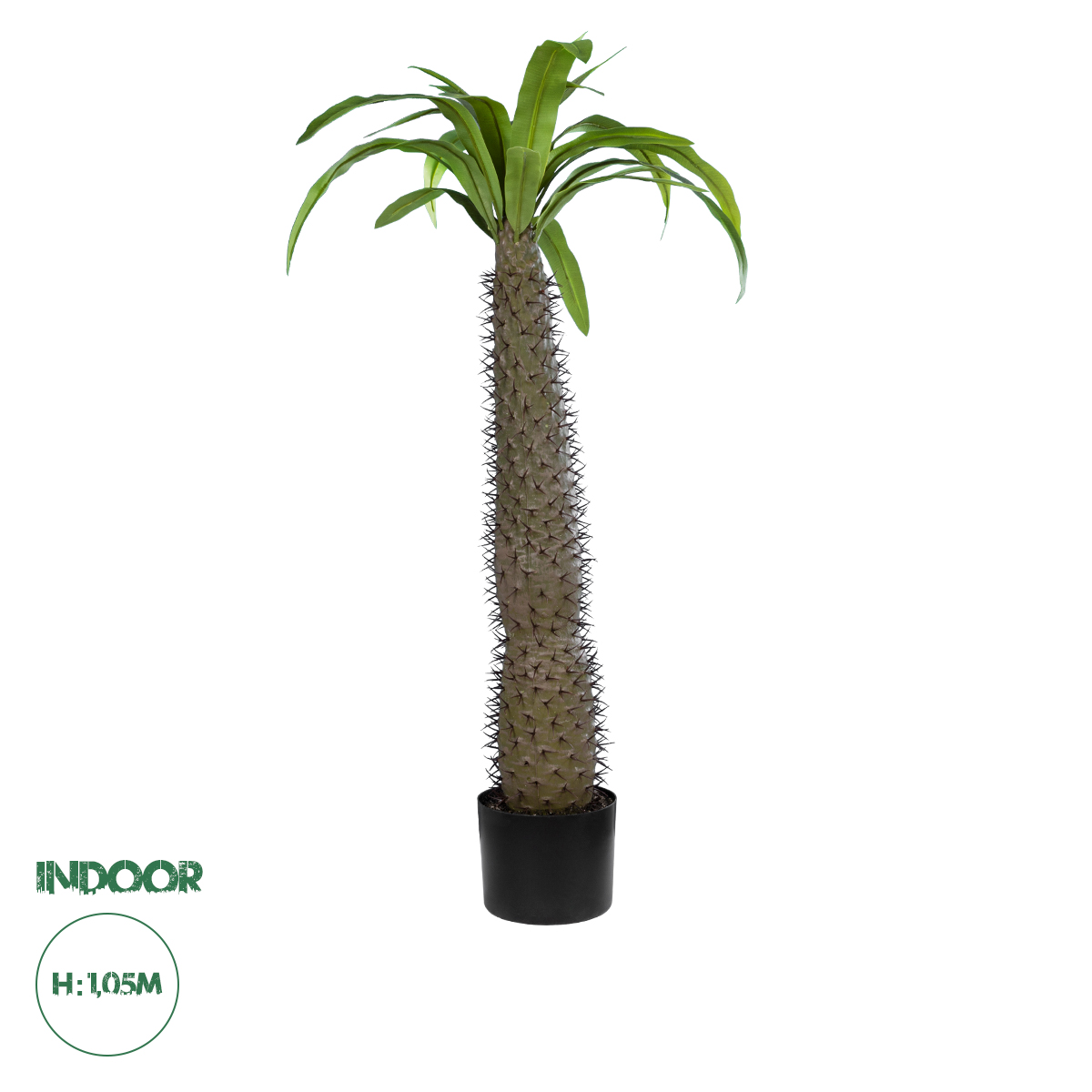 20129 GloboStar® Artificial Garden PACHYPODIUM LAMEREI PALM TREE 20129 Τεχνητό Διακοσμητικό Φυτό Φοίνικας της Μαγαδασκάρης Υ105cm 20129 GloboStar® Artificial Garden PACHYPODIUM LAMEREI PALM TREE 20129 Τεχνητό Διακοσμητικό Φυτό Φοίνικας της Μαγαδασκάρης Υ105cm