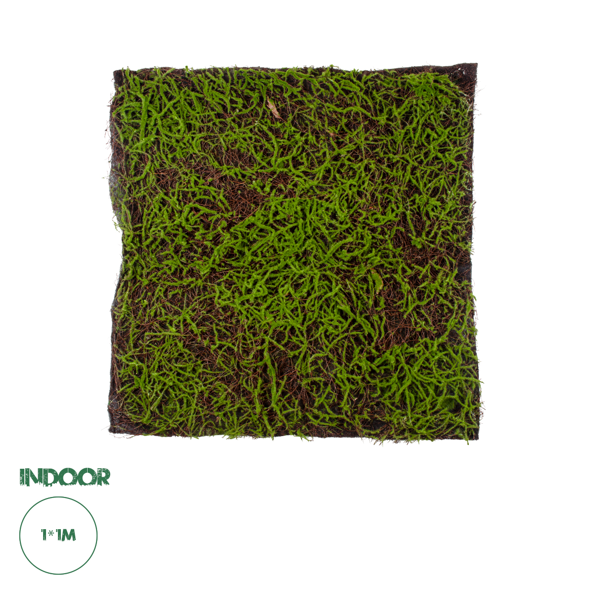 20143 GloboStar®  Artificial Garden BRYOPHYTA 20143 Τεχνητό Διακοσμητικό Πάνελ Φυλλωσιάς - Κάθετος Κήπος Βρύα Μ100 x Π100 x Υ5cm