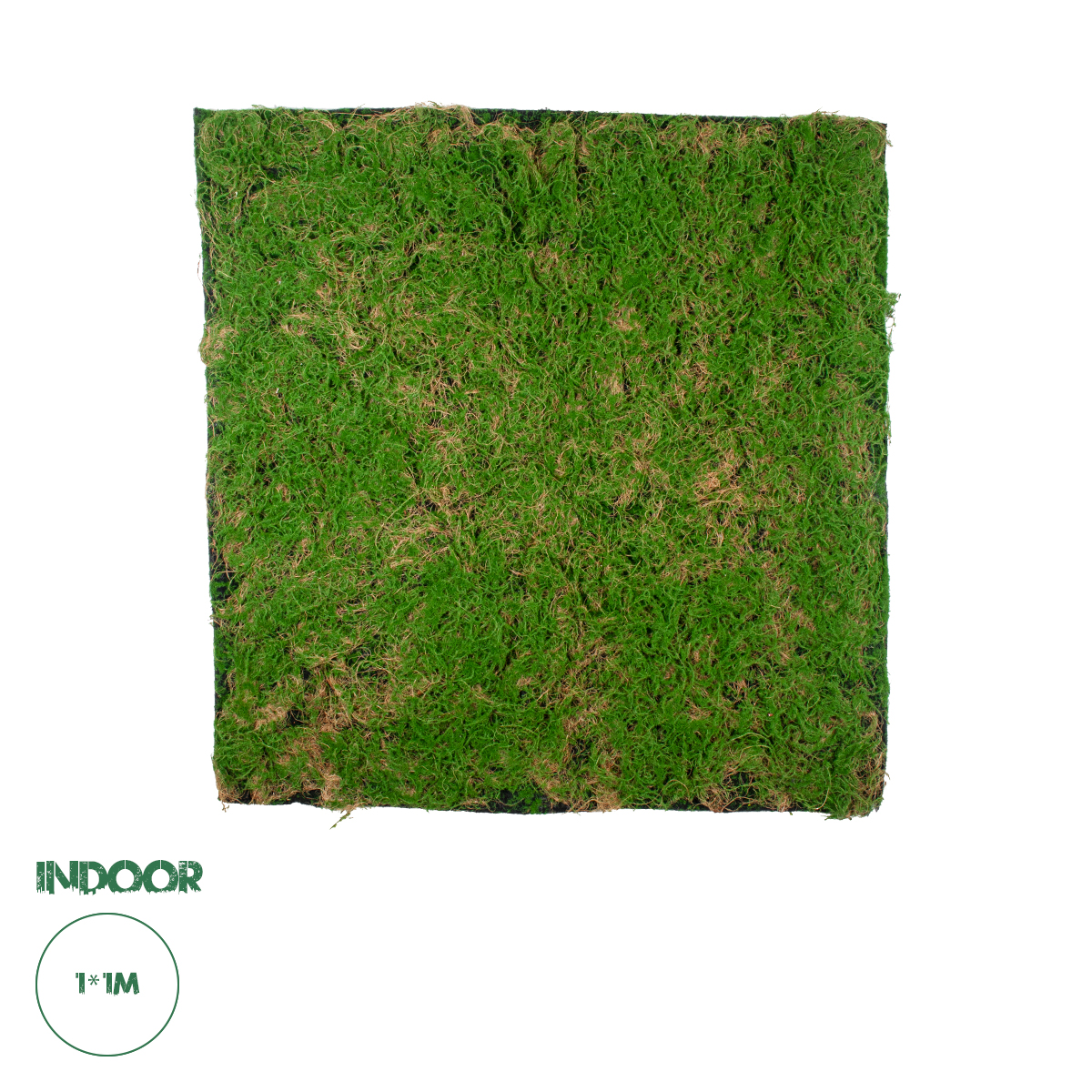 20144 GloboStar®  Artificial Garden BRYOPHYTA 20144 Τεχνητό Διακοσμητικό Πάνελ Φυλλωσιάς - Κάθετος Κήπος Βρύα Μ100 x Π100 x Υ3cm