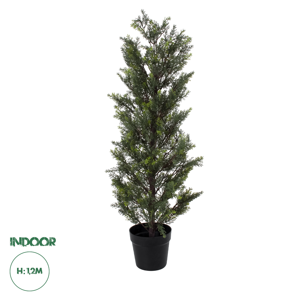 20151 GloboStar® Artificial Garden LEMON CYPRESS 20151 Τεχνητό Διακοσμητικό Φυτό Λεμονόκυπάρισσο Υ120cm 20151 GloboStar® Artificial Garden LEMON CYPRESS 20151 Τεχνητό Διακοσμητικό Φυτό Λεμονόκυπάρισσο Υ120cm