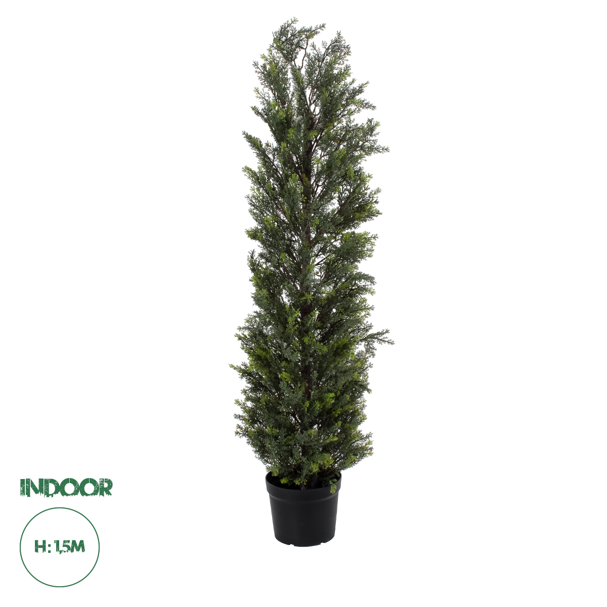 20152 GloboStar® Artificial Garden LEMON CYPRESS 20152 Τεχνητό Διακοσμητικό Φυτό Λεμονόκυπάρισσο Υ150cm 20152 GloboStar® Artificial Garden LEMON CYPRESS 20152 Τεχνητό Διακοσμητικό Φυτό Λεμονόκυπάρισσο Υ150cm