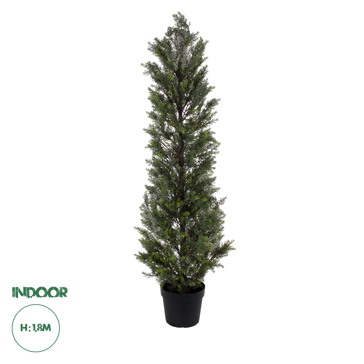 20153 GloboStar® Artificial Garden LEMON CYPRESS 20153 Τεχνητό Διακοσμητικό Φυτό Λεμονόκυπάρισσο Υ180cm 20153 GloboStar® Artificial Garden LEMON CYPRESS 20153 Τεχνητό Διακοσμητικό Φυτό Λεμονόκυπάρισσο Υ180cm
