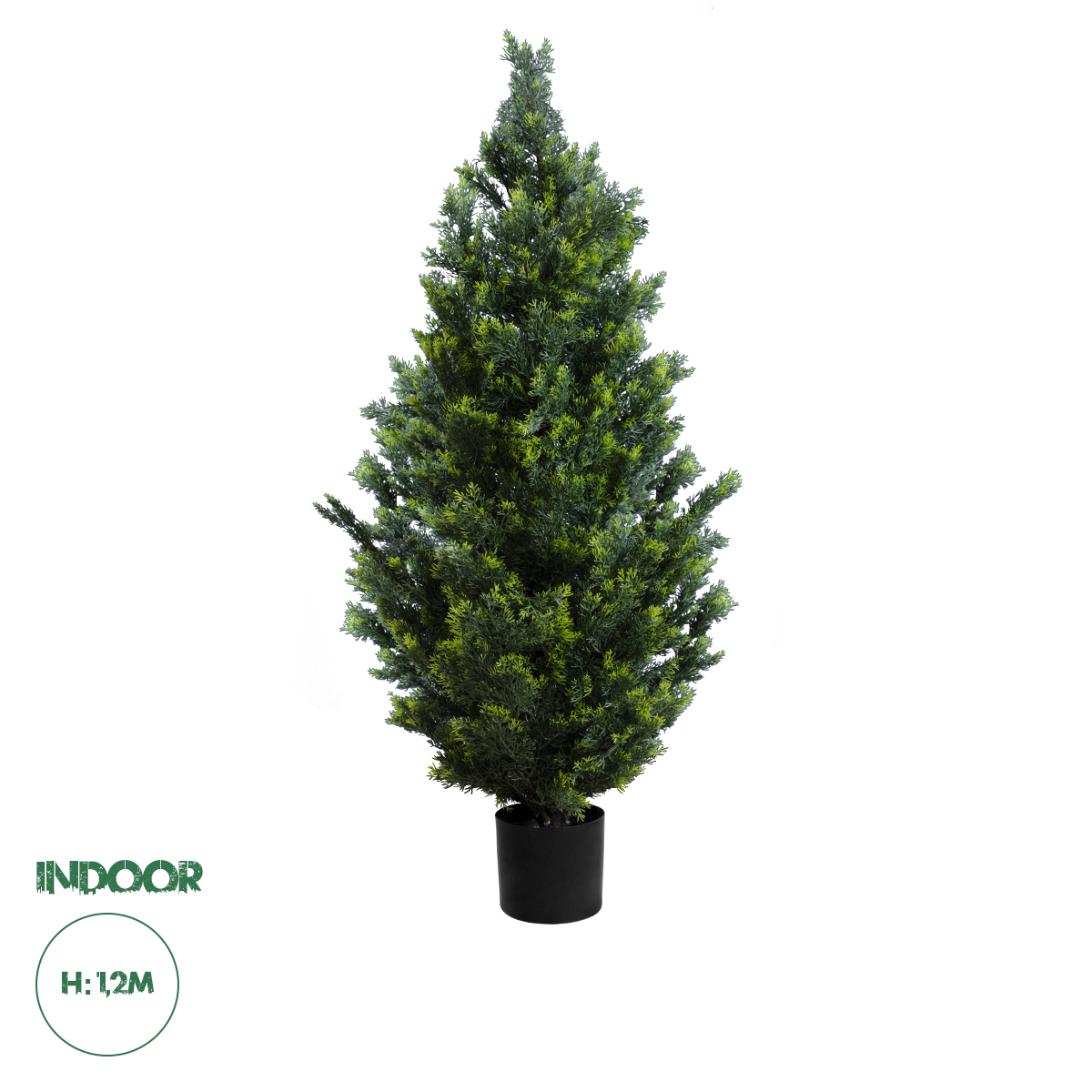 20154 GloboStar® Artificial Garden CYPRESSUS LEYLANDII 20154 Τεχνητό Διακοσμητικό Φυτό Κυπαρίσσι Λέιλαντ Υ120cm 20154 GloboStar® Artificial Garden CYPRESSUS LEYLANDII 20154 Τεχνητό Διακοσμητικό Φυτό Κυπαρίσσι Λέιλαντ Υ120cm