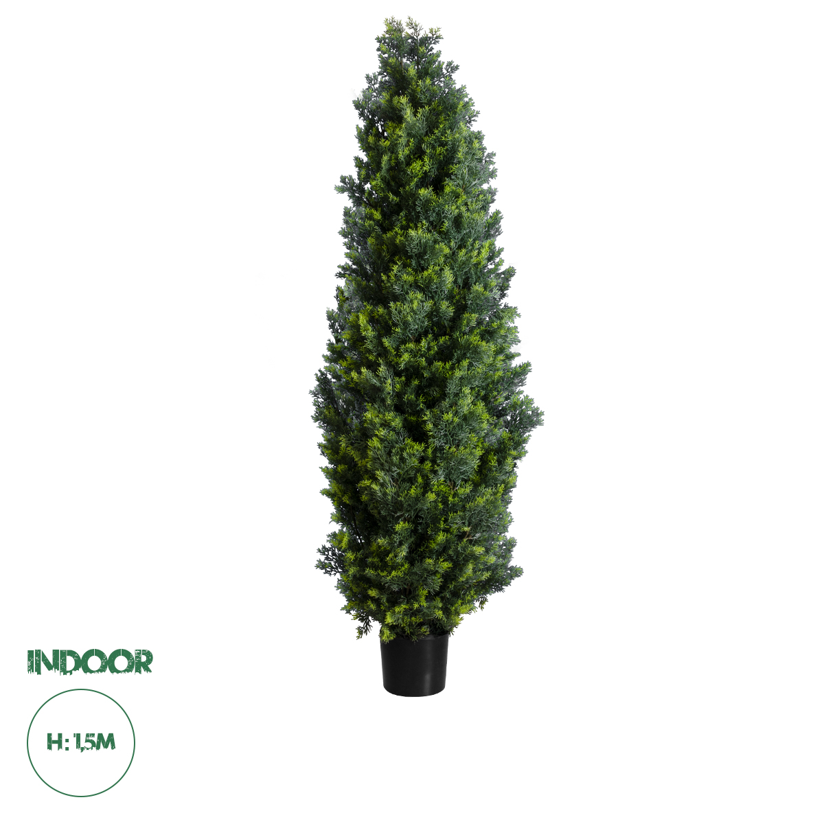 20155 GloboStar® Artificial Garden CYPRESSUS LEYLANDII 20155 Τεχνητό Διακοσμητικό Φυτό Κυπαρίσσι Λέιλαντ Υ150cm 20155 GloboStar® Artificial Garden CYPRESSUS LEYLANDII 20155 Τεχνητό Διακοσμητικό Φυτό Κυπαρίσσι Λέιλαντ Υ150cm
